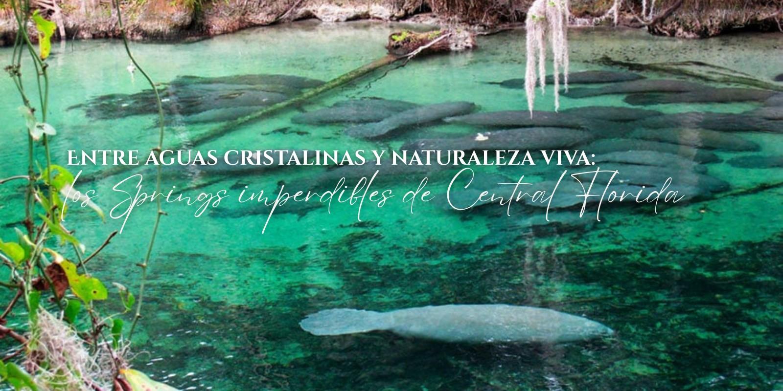 Manantiales cerca de Orlando: Naturaleza y Aventura
